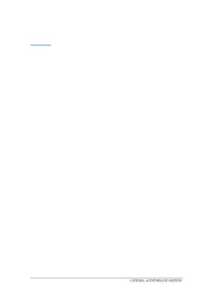 TEXTO BASICO AUDITORIA DE GESTION