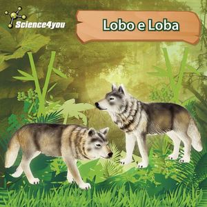 E-Book Lobo e Loba