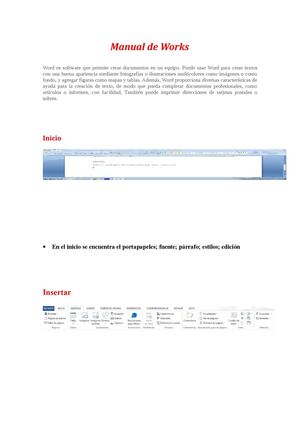 MANUAL DE WORK
