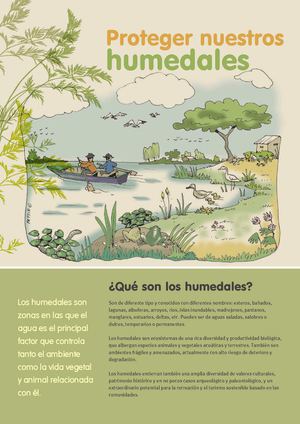 ¿Qué son los humedales?