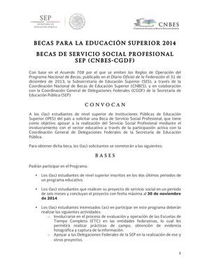 CONVOCATORIA SERVICIO SOCIAL PROFESIONAL 2014