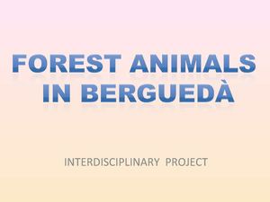 Forest animals in Berguedà