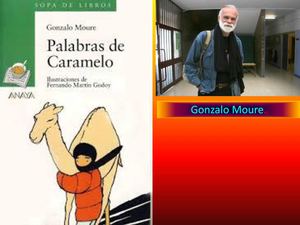 Resumen Palabras de Caramelo de Carlos y Fran