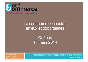 Rencontre e-commerce Intervention Anna Peculier CCI Loiret 17 avril 2014