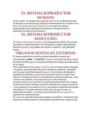 EL SISTEMA REPRODUCTOR HUMANO cande , jersson