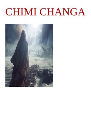 CHIMI CHANGA REVISTA RE RICA