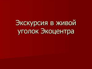 Экскурсия в живой уголок
