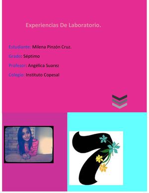 Germinacion De Una Lenteja 