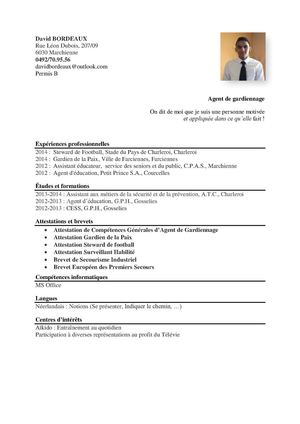 C.V. Agent de gardiennage, David Bordeaux