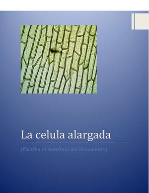 EXPERIMENTO DE LAS CELULAS