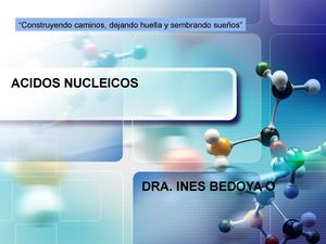 ACIDOS NUCLEICOS