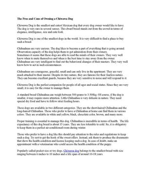 The Pros and Cons of Owning a Chiwawa Dog