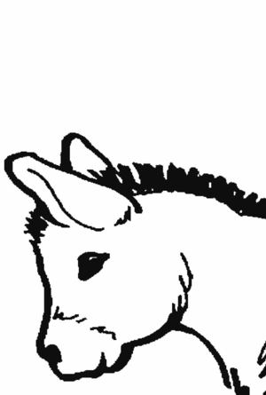 Dibujo de Platero en 6 folios