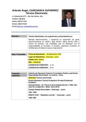 curriculum vitae