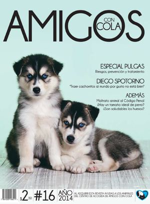 Amigos con Cola - edición 16