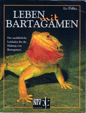 Leben mit Bartagame