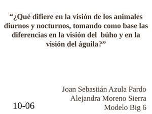 Diferencias entre la visión diurna y nocturna