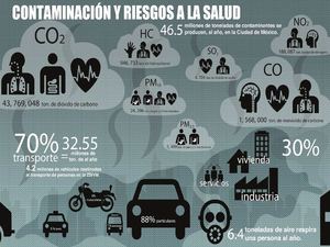 Infografia Sobre Contaminación Ambiental 