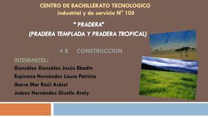 PRADERA