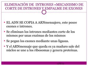 BIOTECNOLOGÍA,HUELLAGENÉNTICAtema4