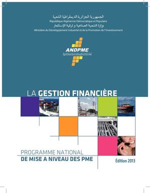 Mise à niveau des PME en Algérie Analyse Financière