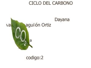 Ciclo del carbono