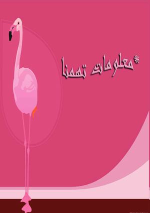 مجلة هندسة زراعية 3