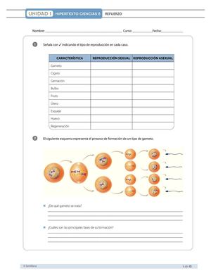 Taller de nivelación biología NOVENO (901)