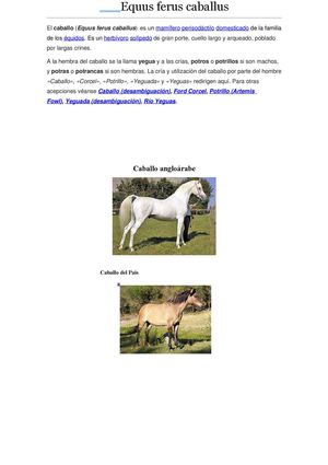 Los caballos historia