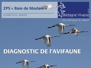 ppt_diagnostic_avifaune_baie_de_morlaix_Bretagne_Vivante
