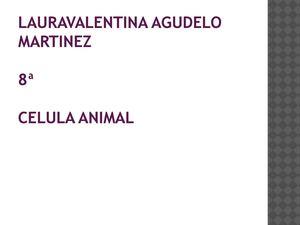 célula vegetal 