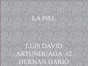 exposicion