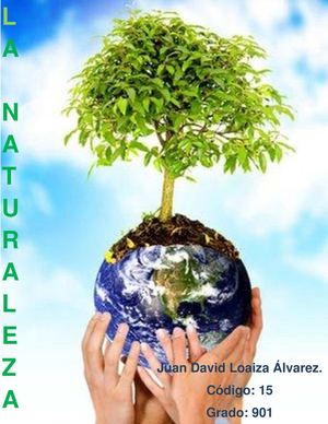 Cuidado del medio ambiente.