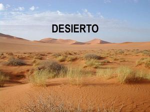 DESIERTO