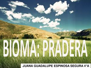 pradera