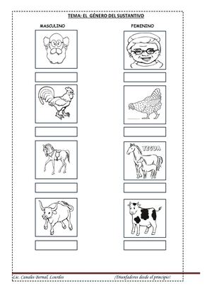 EL GENERO DEL SUSTANTIVO