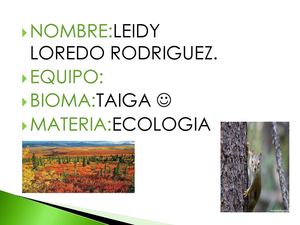 biomas taiga y pradera