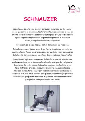 HISTORIA DEL PERRO POR RAZAS