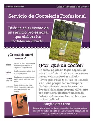 Servicio de Coctelería Profesional