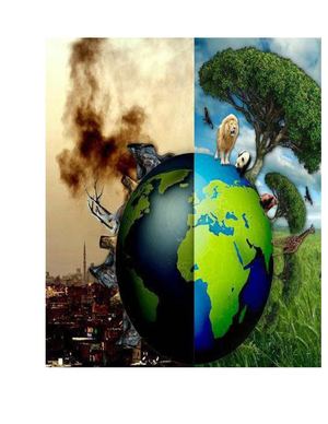 contaminación del medio ambiente en Colombia 