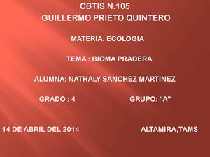 bioma pradera