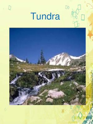 Tundra