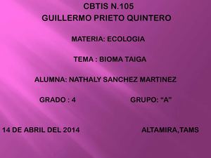 BIOMA TAIGA