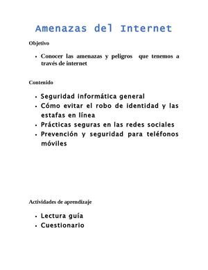 AMENAZAS DE INTERNET