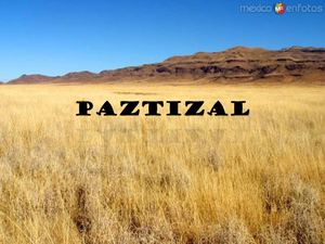 Pastizal