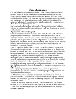 Invertebrados