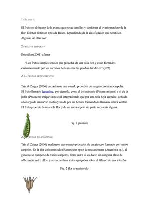 el fruto y sus tipos 