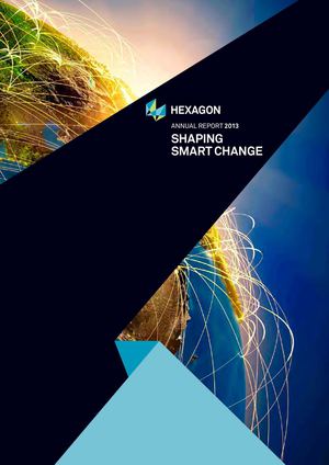 Hexagons Annual Report 2013