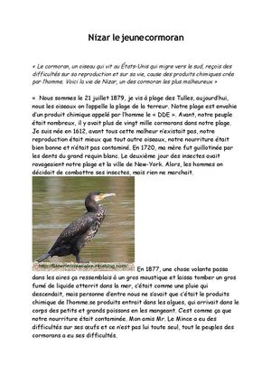 Nizar le jeune cormoran
