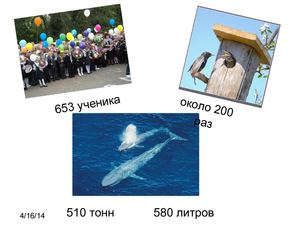 Урок русского языка "Разряды числительных"